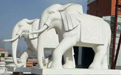 石雕大象適合擺放在哪里？
